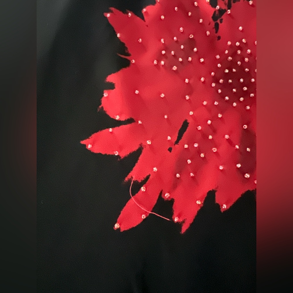 NWT!!! Y2K Sz 0 XS Cache Maxi Slip Dress Black Red Floral Beaded Fairy Ruffles - Picture 13 of 15